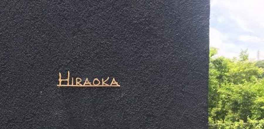 深圳市麥新電子