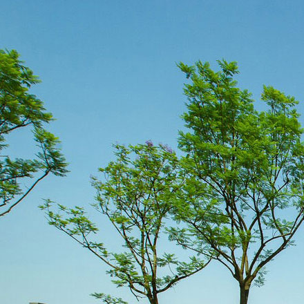 品牌設計作品案例展示