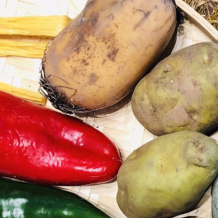 國內(nèi)城市標(biāo)識設(shè)計公司