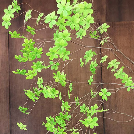 商業綜合體作品案例展示