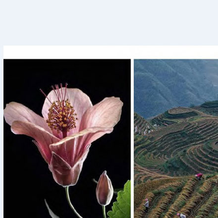 邢臺道路標識標牌設計公司